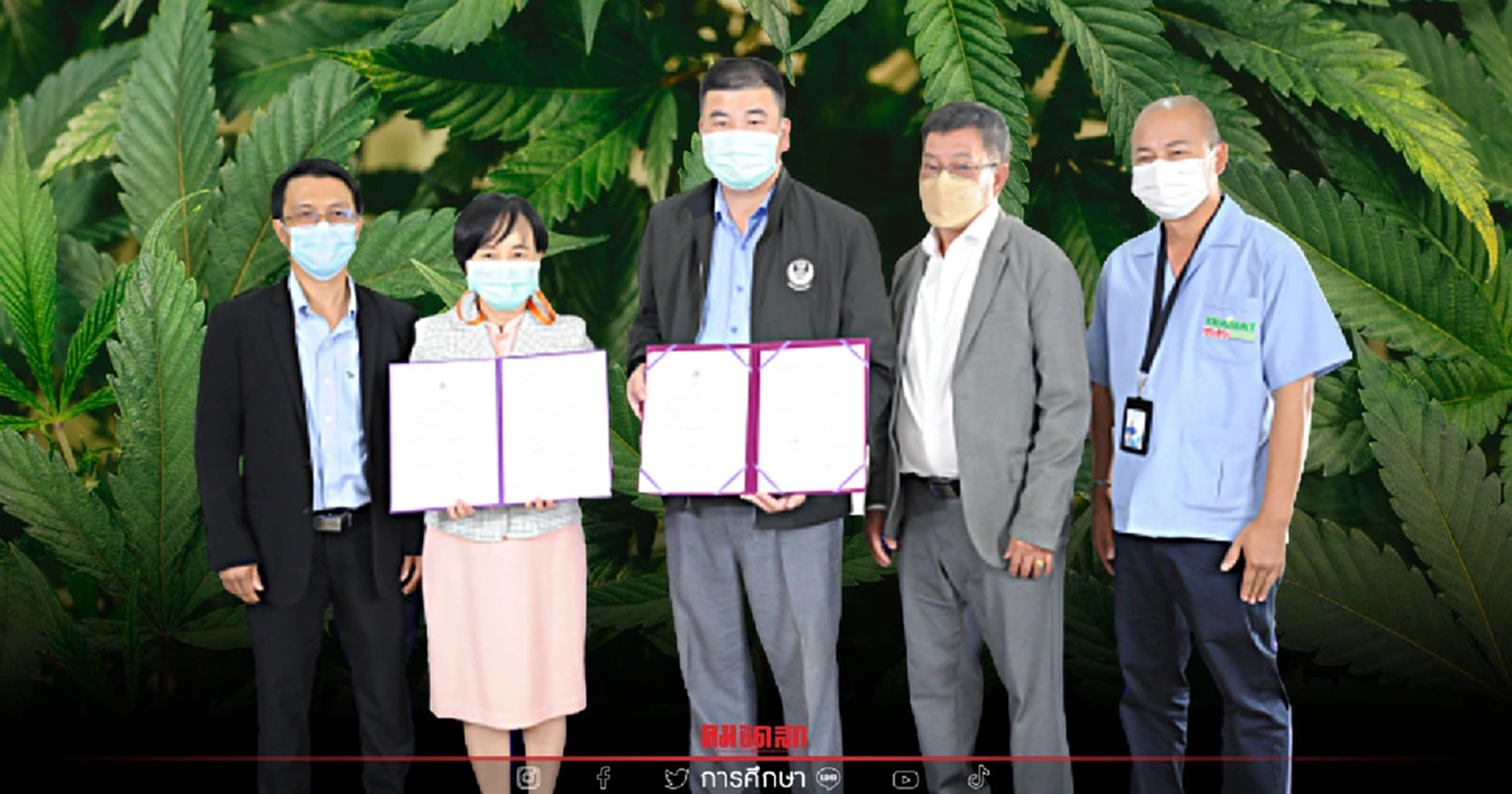 "ม.วลัยลักษณ์" จับมือภาคเอกชน วิจัยกัญชา เพื่อนวัตกรรม ทางการแพทย์