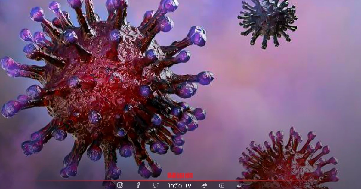 "โควิดวันนี้" 10 จว. ติดเชื้อสูงสุด กทม.กลับมาเหยียบ 3 พัน ชลบุรีอ่วมหนัก