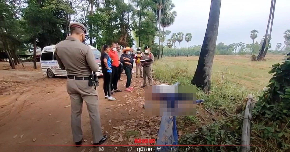 สลด คุณตา ปืน "ต้นตาล" สูง 20 เมตร เลี้ยงชีพ เกิดพลัดตก ร่างกระแทกพื้นเสียชีวิต