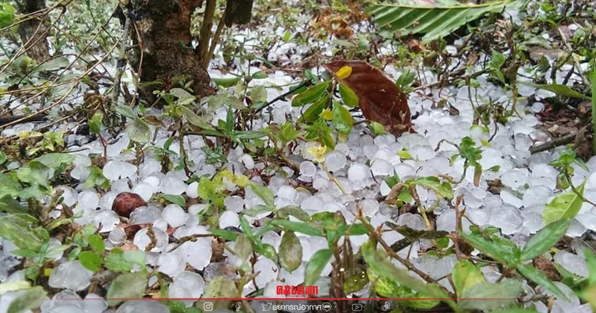 "พยากรณ์อากาศ" พายุฝนฟ้าคะนองลูกใหม่มาอีก ลูกเห็บตกบางแห่ง
