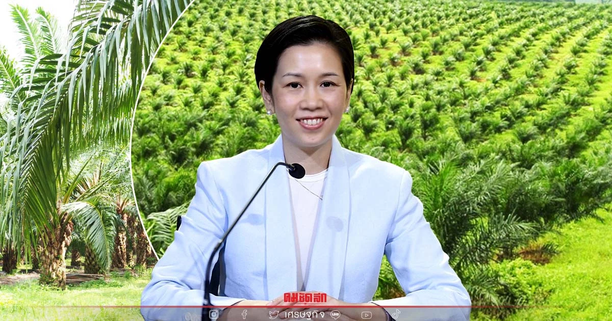 ครม. อนุมัติ 7,660 ล้านบาท "ประกันรายได้" เกษตรกรชาวสวนปาล์มน้ำมันปี 64–65 ครม. อนุมัติ 7,660 ล้านบาท "ประกันรายได้" เกษตรกรชาวสวนปาล์มน้ำมันปี 64–65