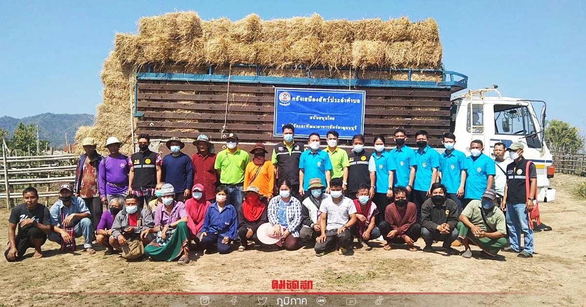 เจ๋ง  "ปศุสัตว์" กาญจนบุรี มอบฟางอัดแห้ง 200 ก้อน "คลังอาหารสัตว์" ในอนาคต