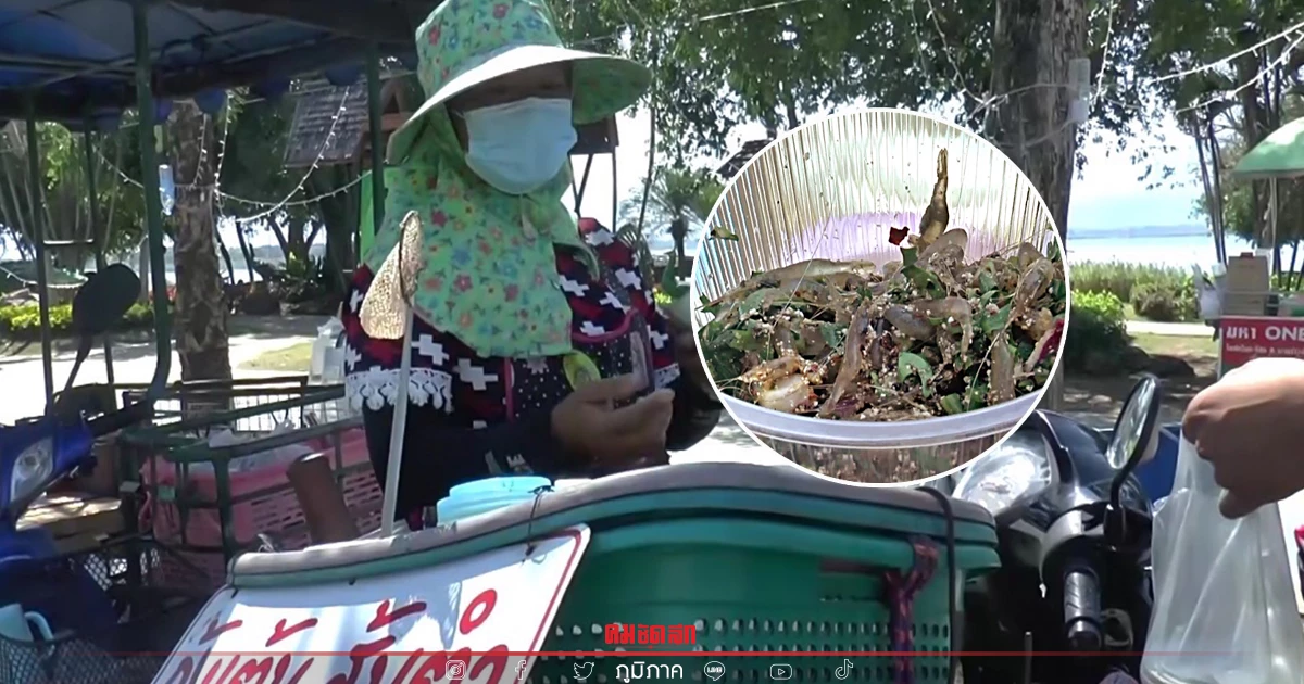 "กุ้งเต้น" กว๊านพะเยา ยังไม่กระทบ แม่ค้าบอกขายดี มาแล้วต้องชิม "กุ้งเต้น" กว๊านพะเยา ยังไม่กระทบ แม่ค้าบอกขายดี มาแล้วต้องชิม