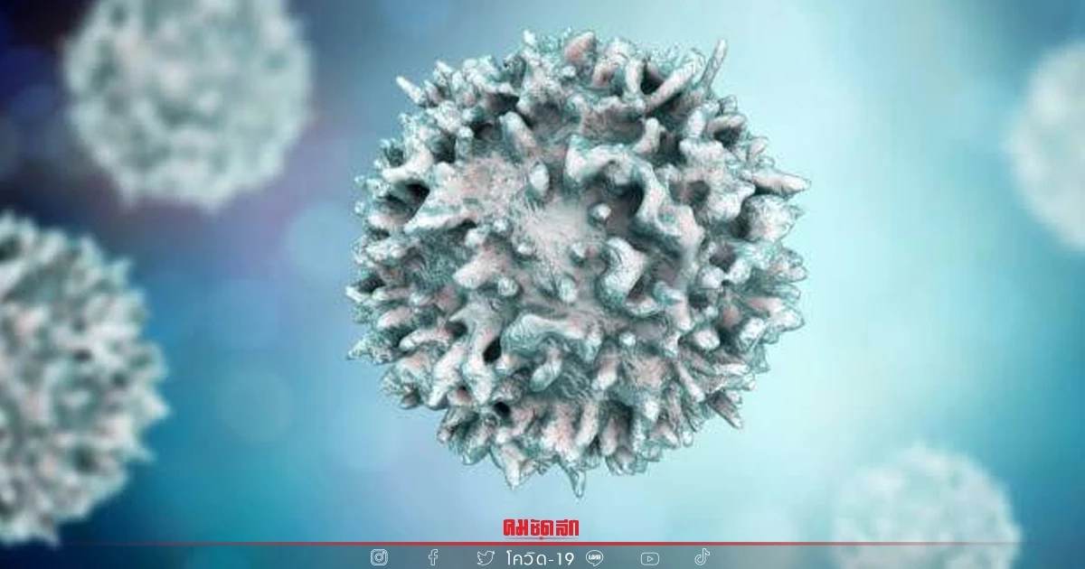 "โควิดวันนี้" 10 จว.ติดเชื้อสูงสุด กทม. 3233 จับตา นนทบุรีเชื้อลามต่อเนื่อง "โควิดวันนี้" 10 จว.ติดเชื้อสูงสุด กทม. 3233 จับตา นนทบุรีเชื้อลามต่อเนื่อง