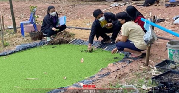 เดินหน้าโครงการนำลูกหลาน "เกษตรกร "กลับบ้านสานต่ออาชีพการเกษตร