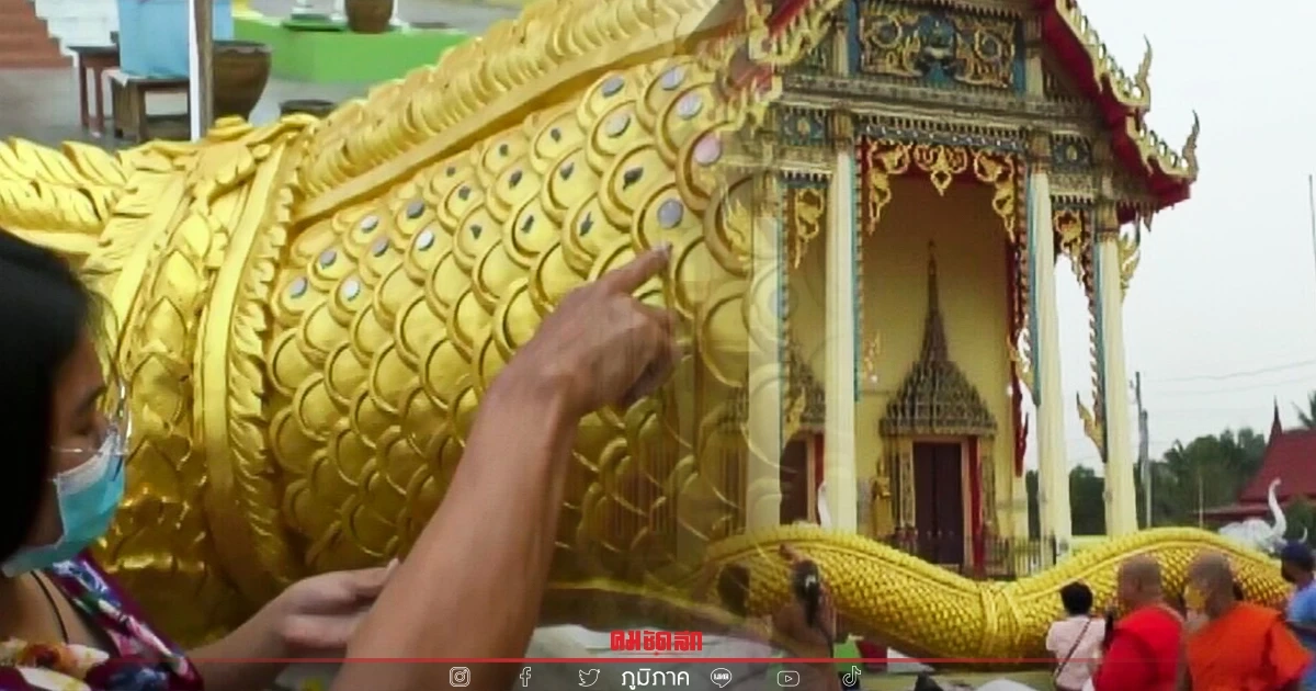 ทำบุญติดเกล็ด "พญานาค 4 ตระกูล" วัดศรีศรัทธาธรรม สมุทรสงคราม