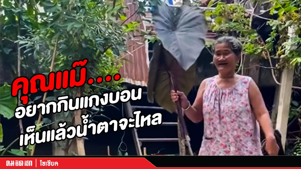 (คลิป) คุณแม๊....อยากกินแกงบอน เห็นแล้วน้ำตาจะไหล (คลิป) คุณแม๊....อยากกินแกงบอน เห็นแล้วน้ำตาจะไหล