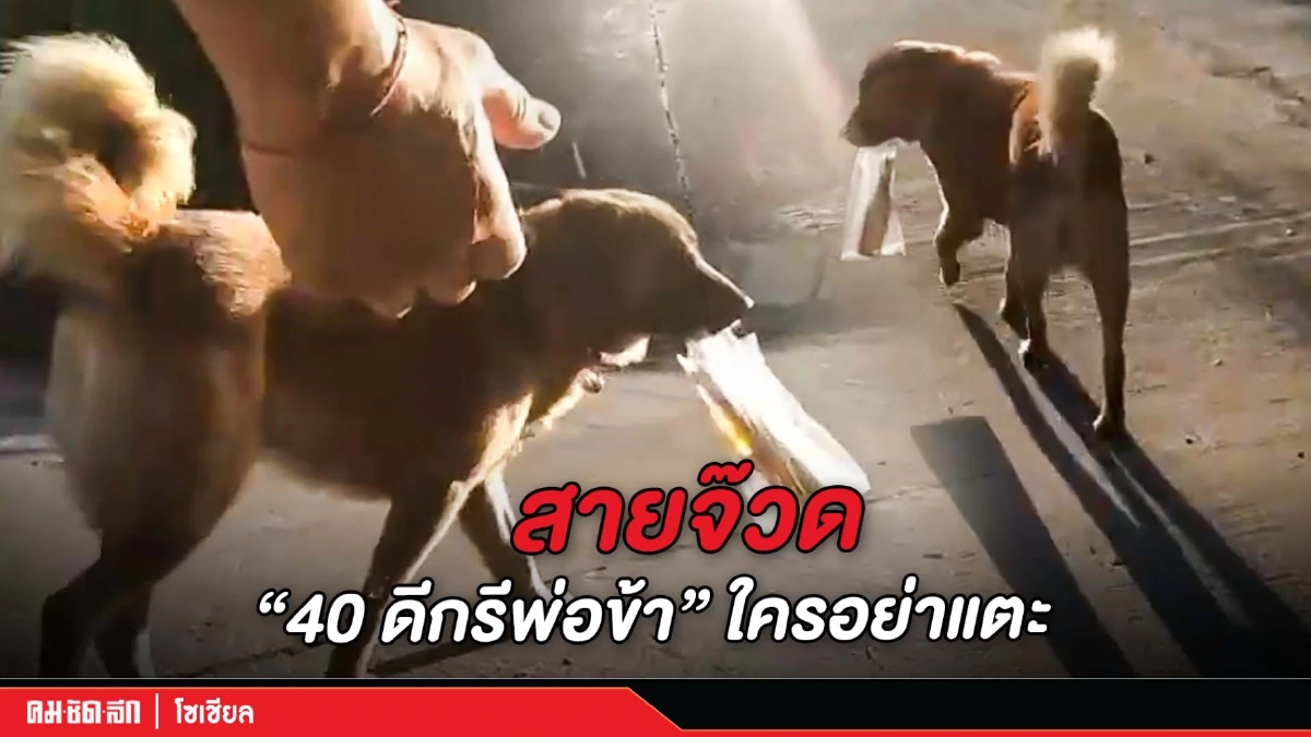 (คลิป) สายจ๊วด "40 ดีกรีพ่อข้า" ใครอย่าแตะ (คลิป) สายจ๊วด "40 ดีกรีพ่อข้า" ใครอย่าแตะ