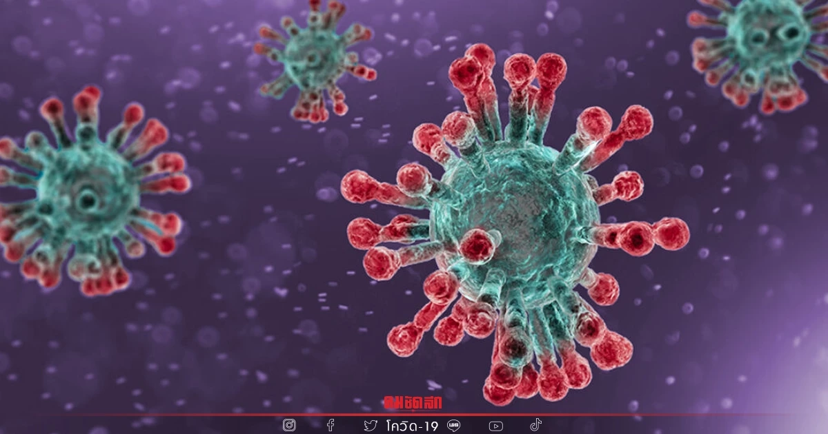 "โควิดวันนี้" เสียชีวิตเพิ่ม 66 ราย ติดเชื้อรายใหม่พบ 23,584 ราย ATK 20,385 "โควิดวันนี้" เสียชีวิตเพิ่ม 66 ราย ติดเชื้อรายใหม่พบ 23,584 ราย ATK 20,385