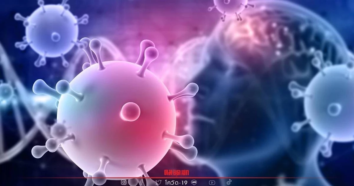 "โควิดวันนี้" นิวไฮเสียชีวิต 65 ราย ติดเชื้อรายใหม่พบ 21,162 ราย ไม่นับรวม ATK "โควิดวันนี้" นิวไฮเสียชีวิต 65 ราย ติดเชื้อรายใหม่พบ 21,162 ราย ไม่นับรวม ATK