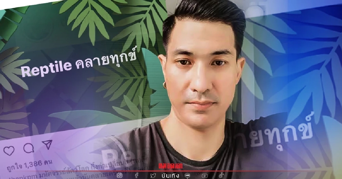 "แต๊งค์ พงศกร" ซัด มหัศจรรย์ กิ้งก่าเปลี่ยนสี คอมเมนต์เดือด น่าขยะแขยงที่สุด