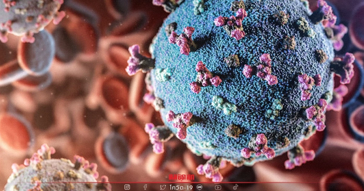 "โอไมครอน" ศูนย์จีโนมฯ เตือนระวังโควิดลูกผสม BA.2-BA.1.1 เจอในเบลเยียม