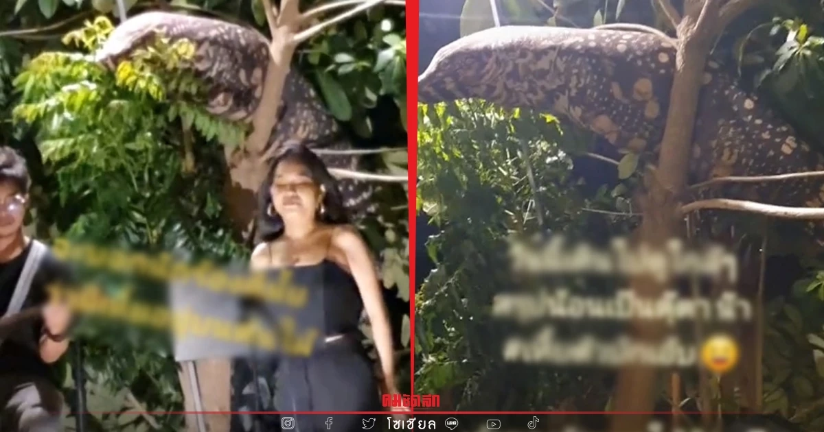 "ตัวเงินตัวทอง" กรี๊ดทั้งโซเชียลเสียวแทนนักร้อง ซูมใกล้ ๆ ถึงกับร้องเห้ย