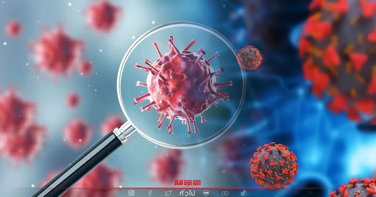 "โควิดวันนี้" เสียชีวิตเพิ่ม 91 ราย ติดเชื้อรายใหม่ 21,088 ราย ป่วยหนัก 1,862 "โควิดวันนี้" เสียชีวิตเพิ่ม 91 ราย ติดเชื้อรายใหม่ 21,088 ราย ป่วยหนัก 1,862