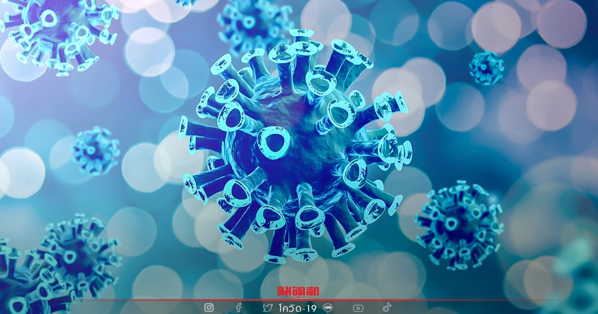 "10 จังหวัดติดเชื้อสูงสุด" ตายมากสุดในระลอกโอไมครอน ห่วง 3 จว.เชื้อพุ่ง "10 จังหวัดติดเชื้อสูงสุด" ตายมากสุดในระลอกโอไมครอน ห่วง 3 จว.เชื้อพุ่ง