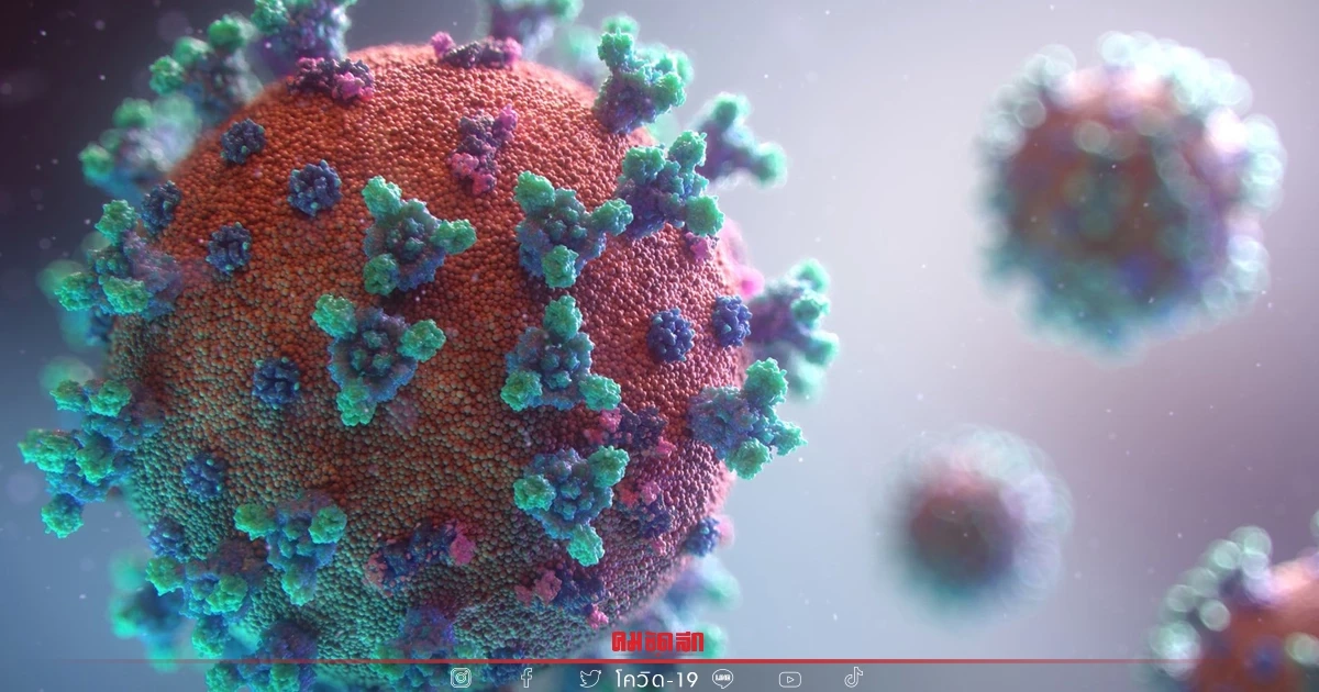 "โควิดวันนี้" เสียชีวิตเพิ่ม 91 ราย ติดเชื้อรายใหม่พบ 26,081 ราย ไม่นับรวม ATK "โควิดวันนี้" เสียชีวิตเพิ่ม 91 ราย ติดเชื้อรายใหม่พบ 26,081 ราย ไม่นับรวม ATK