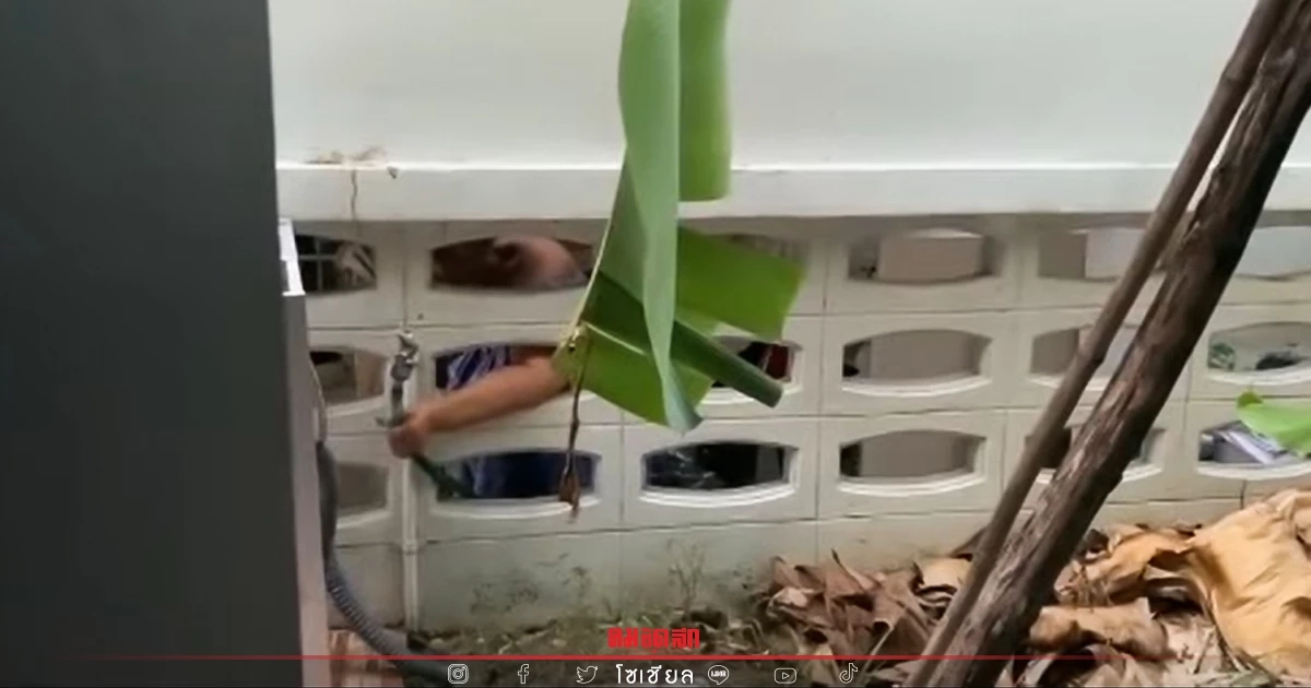 ตาสว่างเจอป้า "แอบใช้น้ำ" หลังสงสัยทำไมพื้นเปียกทั้ง ๆ ที่คนไม่อยู่บ้าน