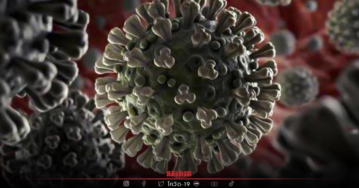 "10 จังหวัดติดเชื้อสูงสุด" กทม. สะสมทะลุ 250,000 จับตา ชลบุรี นครศรีธรรมราช