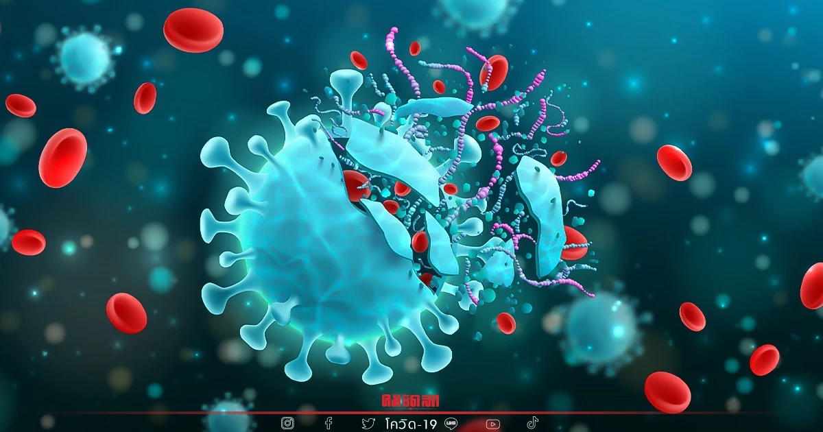 "โควิดวันนี้" 10 จว. ติดเชื้อสูงสุด กทม. ติดเชื้อยังทะลุ 3,000 ปอดอักเสบไม่ลด