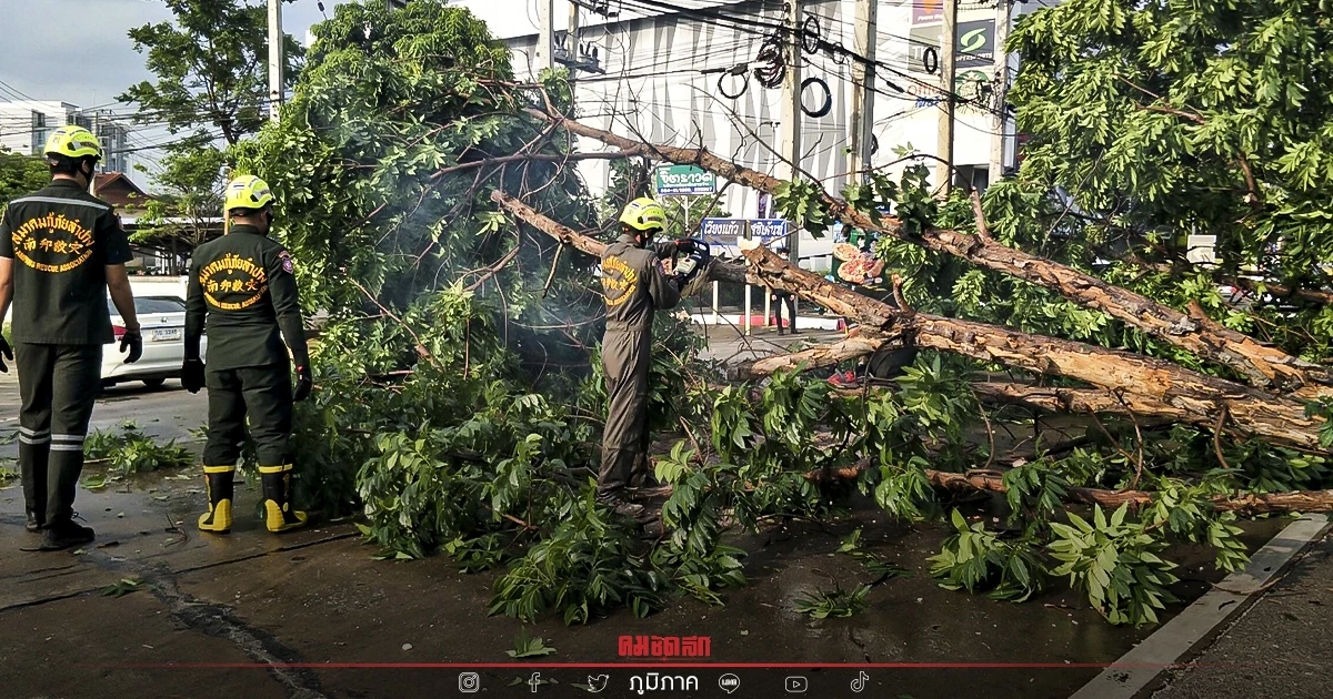 พายุฝน "ลำปาง" ต้นไม้ใหญ่ล้มขวางถนน จนท.เข้าเคลียร์พื้นที่ เปิดเส้นทางแล้ว