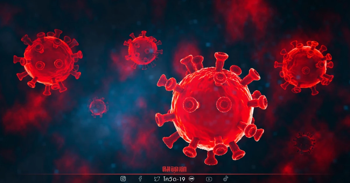 "10 เขตติดเชื้อสูงสุด" กทม.ยังอ่วมหนัก 6 เขต จอมทองนำโด่ง เสียชีวิต 21 ราย "10 เขตติดเชื้อสูงสุด" กทม.ยังอ่วมหนัก 6 เขต จอมทองนำโด่ง เสียชีวิต 21 ราย