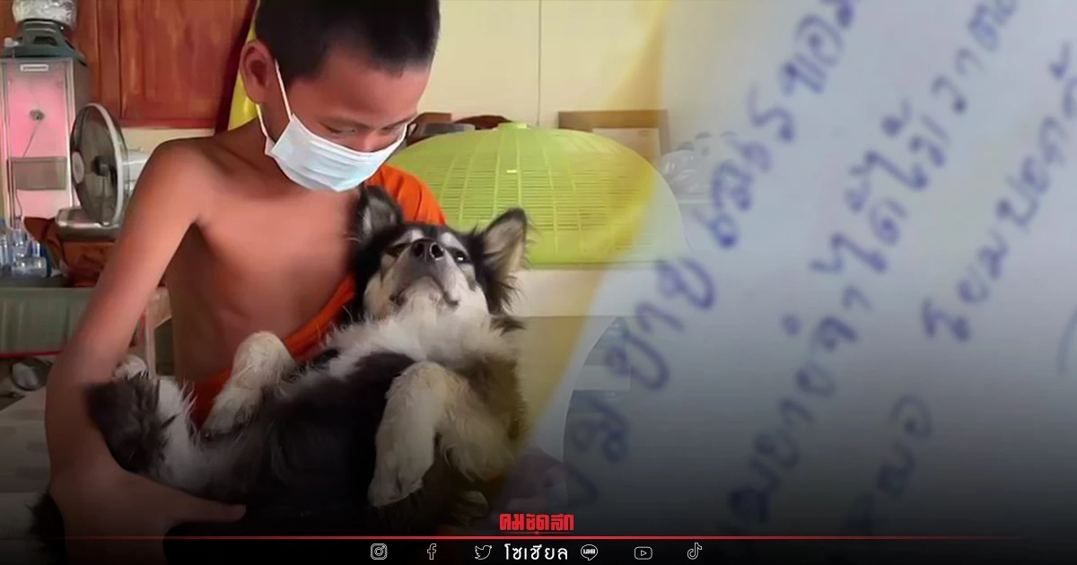 ชาวเน็ตแห่เอ็นดู "เณรน้อย" เขียนจดหมายหา โยมยาย พาเจ้าดุ่ยไปหาหมอ