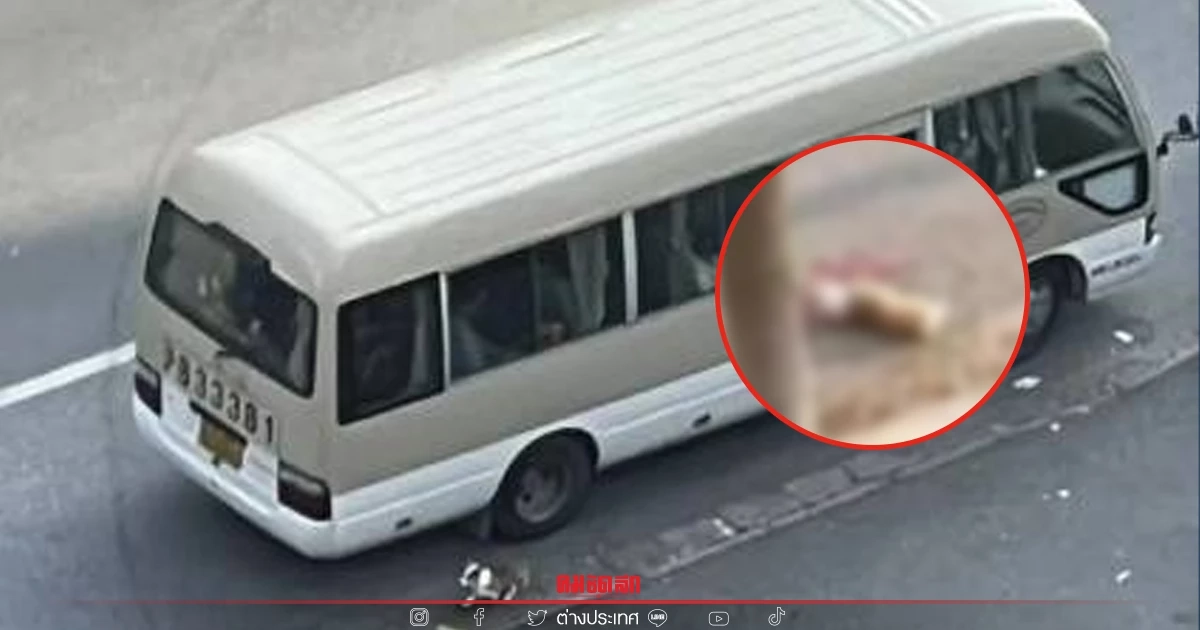 ชาวเน็ตจีนเดือด คนงานคุมโควิด ตีสุนัขตาย หลังวิ่งตามเจ้าของไปกักตัว (คลิป)