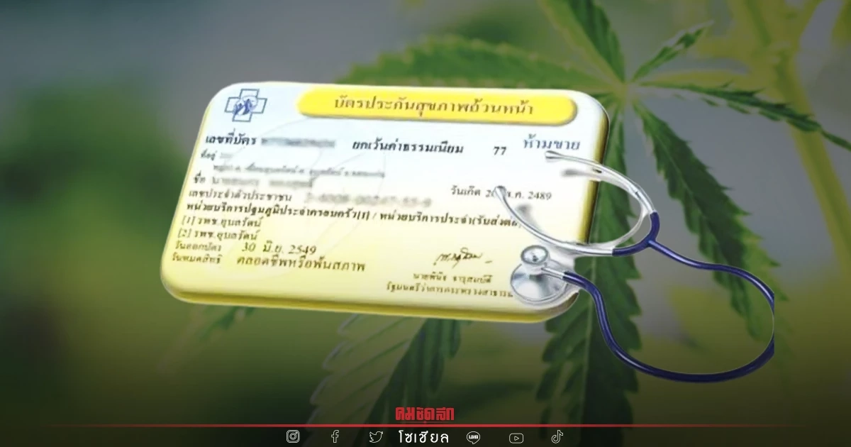 "บัตรทอง" เพิ่มสิทธิประโยชน์ ยาแผนไทยผสม กัญชา 3 ชนิด เช็คด่วนจริงหรือไม่