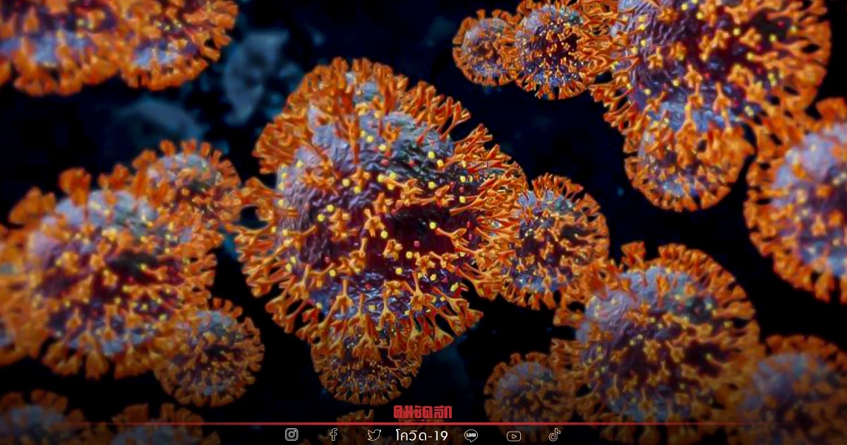 "10 จังหวัดติดเชื้อสูงสุด" อีสานยังติดต่อเนื่อง เช็ค 8 จังหวัดเสี่ยงที่นี่ "10 จังหวัดติดเชื้อสูงสุด" อีสานยังติดต่อเนื่อง เช็ค 8 จังหวัดเสี่ยงที่นี่