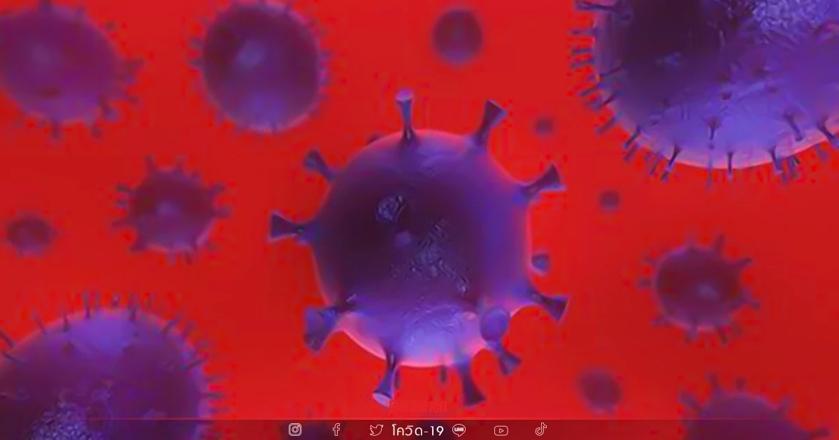 "10 จังหวัดติดเชื้อสูงสุด" ภาคอีสานเชื้อกระจายอ่วม 7 จว. บุรีรัมย์หนักสุด "10 จังหวัดติดเชื้อสูงสุด" ภาคอีสานเชื้อกระจายอ่วม 7 จว. บุรีรัมย์หนักสุด