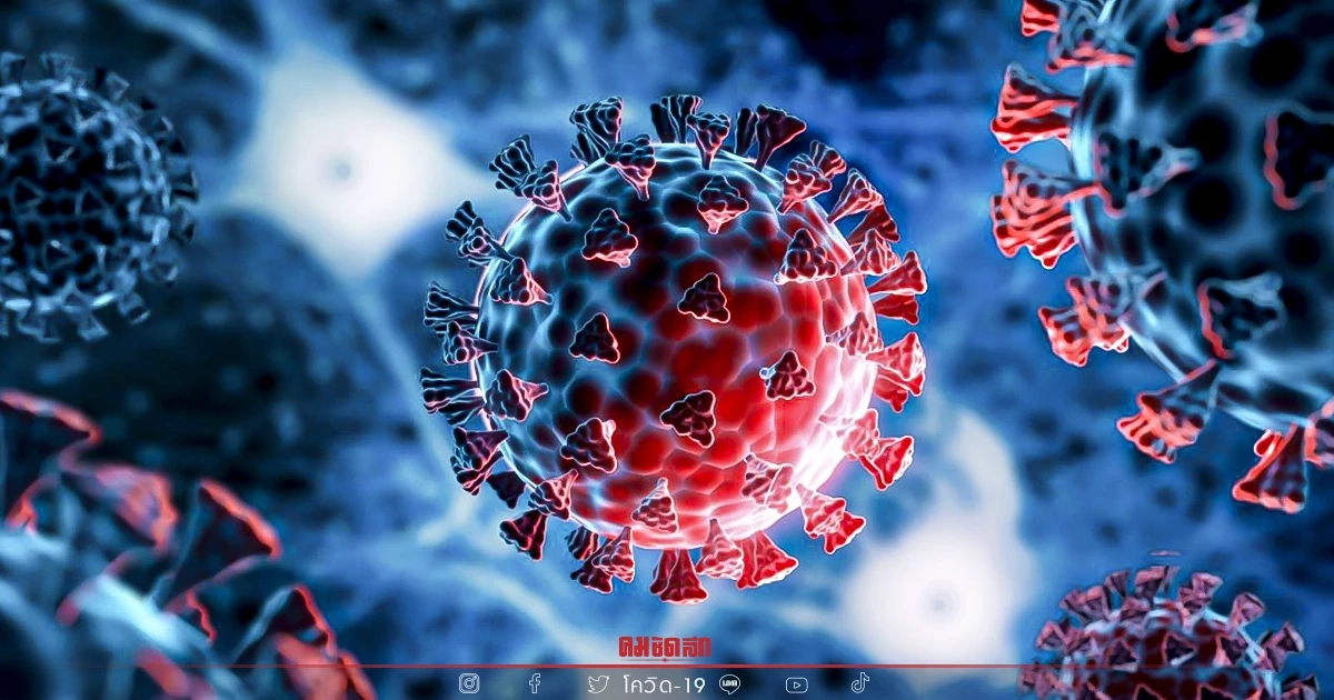 "10 เขตติดเชื้อสูงสุด" เขตบางซื่อแซงขึ้นอันดับ 1 เสียชีวิตสะสมเกือบพัน "10 เขตติดเชื้อสูงสุด" เขตบางซื่อแซงขึ้นอันดับ 1 เสียชีวิตสะสมเกือบพัน