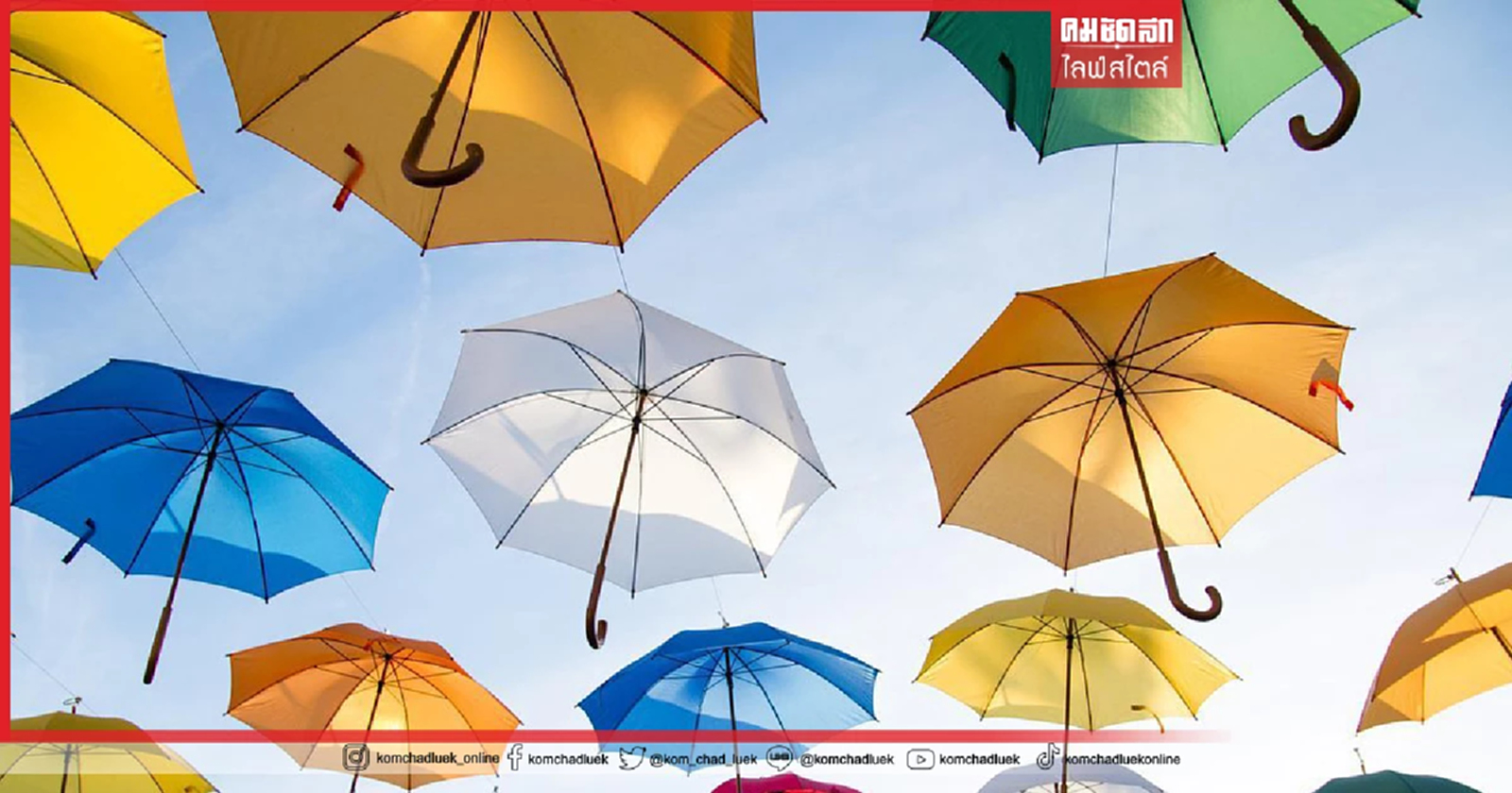 .เลือก สีร่มมงคล เสริมดวง งานดี เงินปัง ความรักรุ่ง ฝนหนักแค่ไหนก็ไม่หวั่น.
