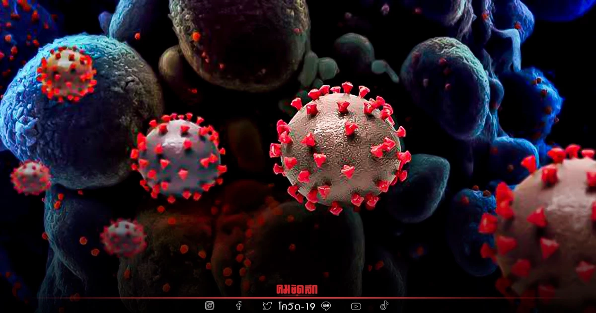 "10 จังหวัดติดเชื้อสูงสุด" บุรีรัมย์เชื้อยังแรง จับตา สกลนคร-อุดรธานี "10 จังหวัดติดเชื้อสูงสุด" บุรีรัมย์เชื้อยังแรง จับตา สกลนคร-อุดรธานี