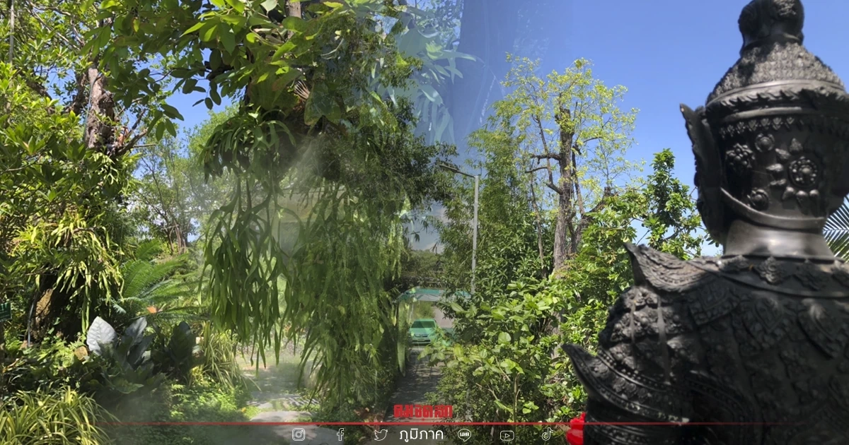 ตามมา พาไปดูสวนเจตรรถ องค์ "ท้าวเวสสุวรรณ" สมุทรสงคราม (มีคลิป)