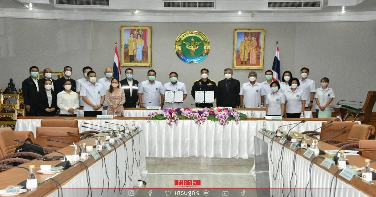 กรมวิชาการเกษตร จับมือ สธ. ยกระดับพัฒนาวิจัยพืช "กัญชา กัญชง" ในครัวเรือน กรมวิชาการเกษตร จับมือ สธ. ยกระดับพัฒนาวิจัยพืช "กัญชา กัญชง" ในครัวเรือน