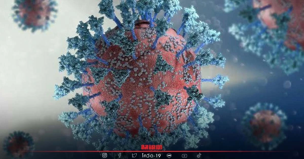 "10 จังหวัดติดเชื้อสูงสุด" 6 จังหวัดอีสานอ่วมเชื้อ จับตา สมุทรปราการ "10 จังหวัดติดเชื้อสูงสุด" 6 จังหวัดอีสานอ่วมเชื้อ จับตา สมุทรปราการ