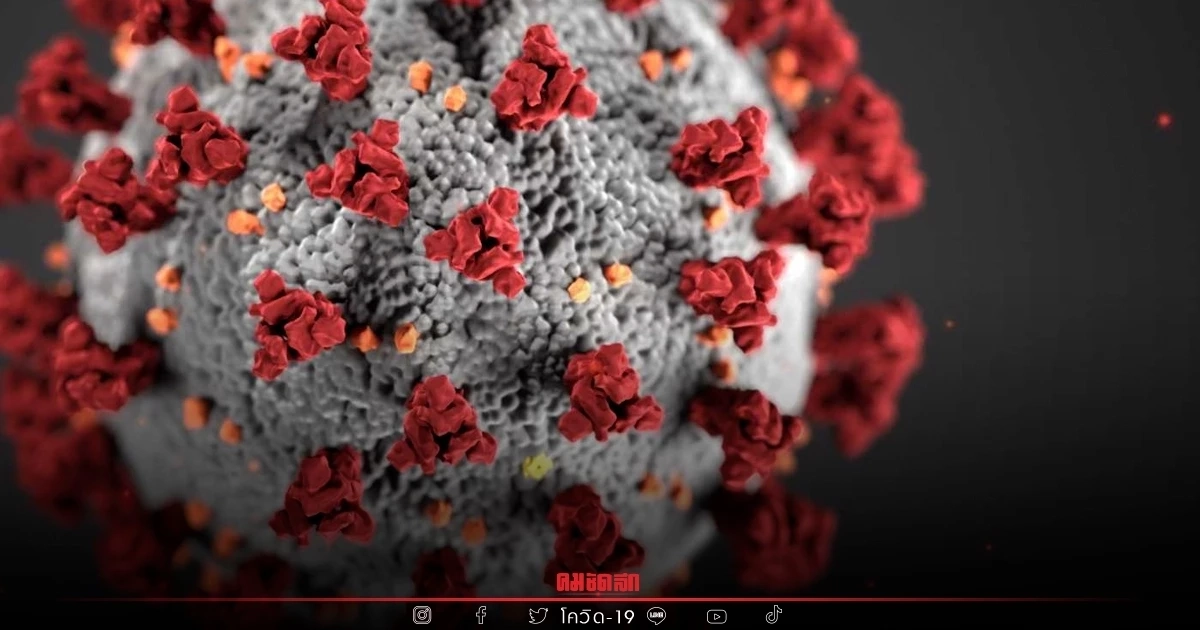 "ยอดผู้ติดเชื้อโควิด" รายใหม่ 4,563 ราย เพิ่มจากวานนี้ 608 ราย ดับ 28 ราย "ยอดผู้ติดเชื้อโควิด" รายใหม่ 4,563 ราย เพิ่มจากวานนี้ 608 ราย ดับ 28 ราย