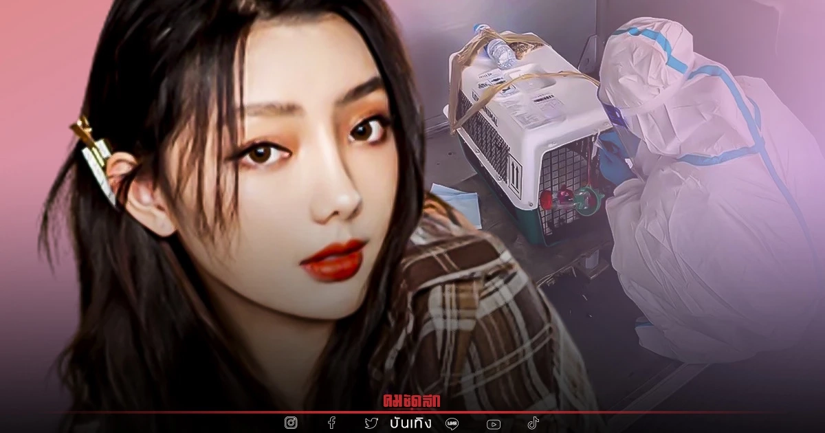 "มีมี่" ร่ำไห้ หมาแสนรักตายบนเครื่องบิน สายการบินดังไม่รับผิดชอบ "มีมี่" ร่ำไห้ หมาแสนรักตายบนเครื่องบิน สายการบินดังไม่รับผิดชอบ