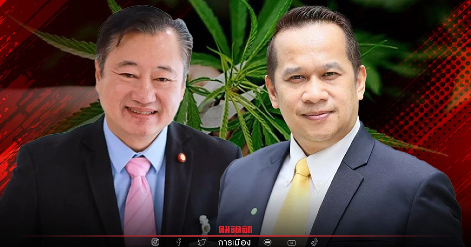 "เพื่อไทย" - "สมชาย แสวงการ" จับมือค้าน "กัญชาเสรี"