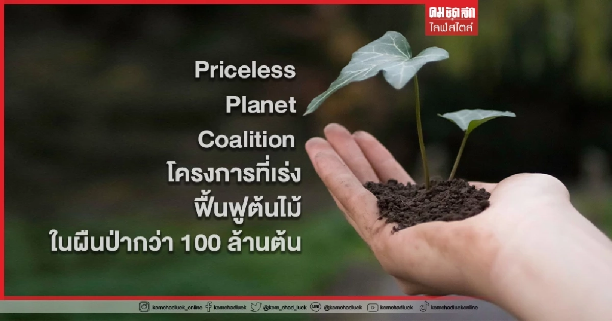 Priceless Planet Coalition โครงการเร่งฟื้นฟูต้นไม้ในผืนป่ากว่า 100 ล้านต้น