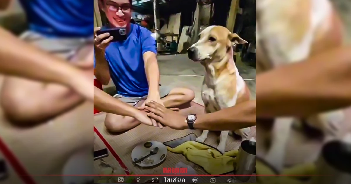 คลิปน่ารัก "น้องหมา" ขอร่วมวงด้วย จะเกิดอะไรขึ้น