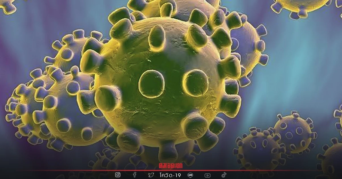 "10 เขตติดเชื้อสูงสุด" กทม. วันนี้อ่วม 3 เขต บางแค-วัฒนา ติดใหม่ต่อเนื่อง "10 เขตติดเชื้อสูงสุด" กทม. วันนี้อ่วม 3 เขต บางแค-วัฒนา ติดใหม่ต่อเนื่อง