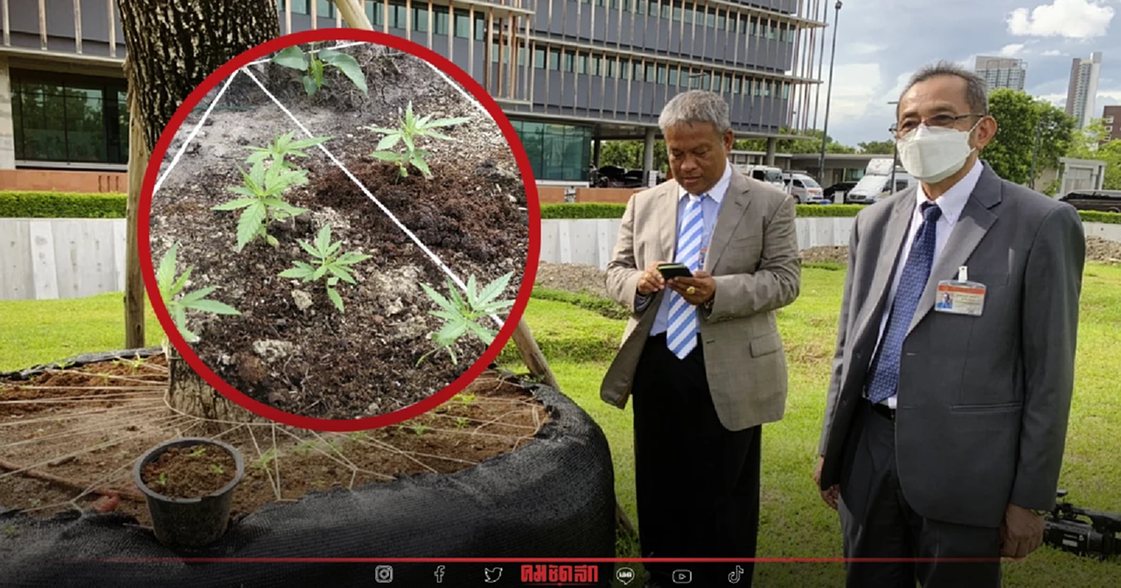 อ้าว เจอแปลงปลูก "กัญชา" ใน รัฐสภา อันทรงเกียรติ "วัชระ เพชรทอง" ขอ จนท. ย้ายออก