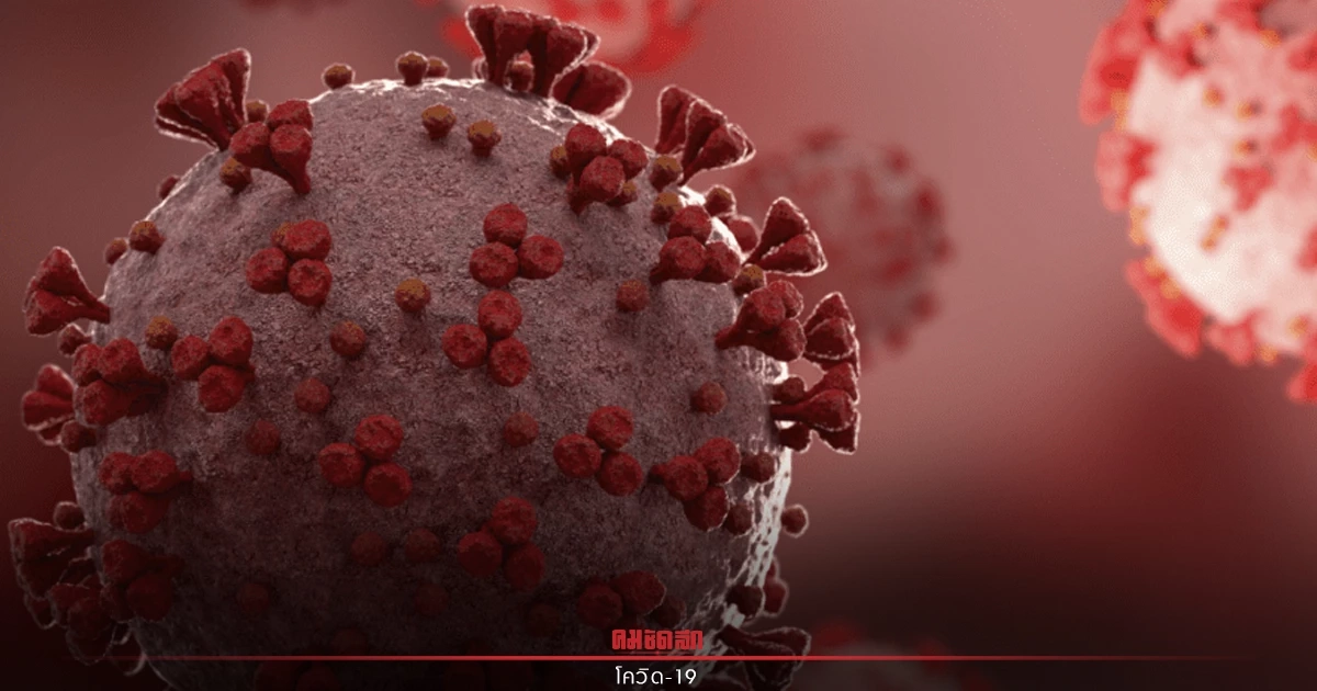 "ยอดผู้ติดเชื้อโควิด" รายใหม่ 2,508 ราย เสียชีวิต 17 ราย ติดเชื้อสะสม 2.3 ล้าน "ยอดผู้ติดเชื้อโควิด" รายใหม่ 2,508 ราย เสียชีวิต 17 ราย ติดเชื้อสะสม 2.3 ล้าน