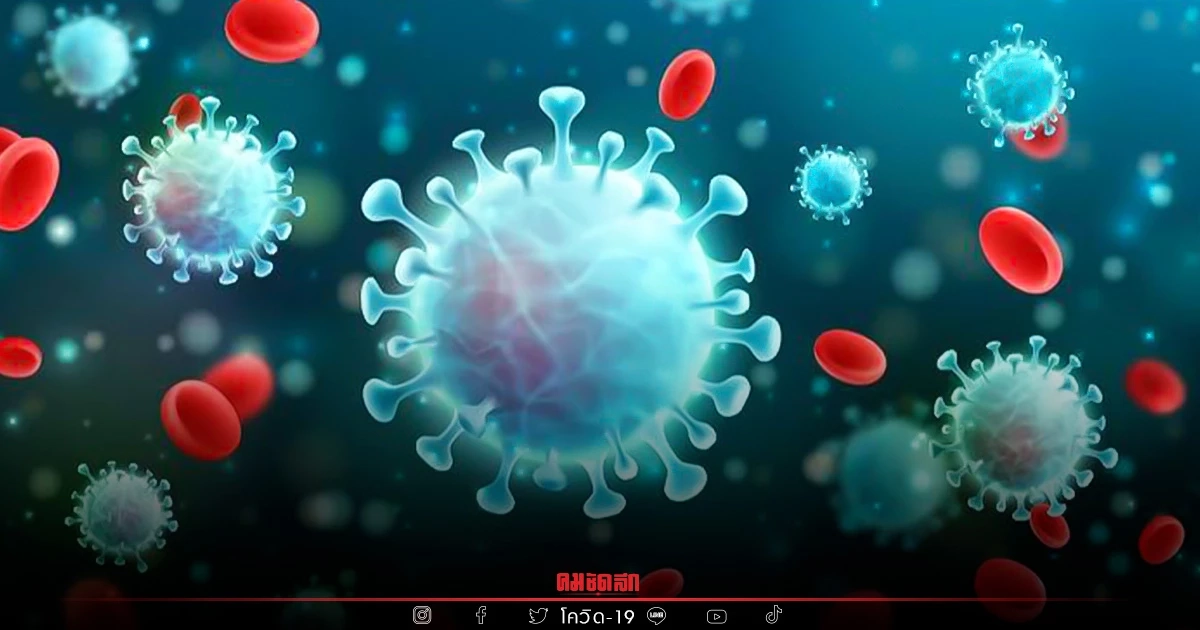 "10 จังหวัดติดเชื้อสูงสุด" กทม.เชื้อมาแรง ติดสะสมทะลุ 430,000 ราย "10 จังหวัดติดเชื้อสูงสุด" กทม.เชื้อมาแรง ติดสะสมทะลุ 430,000 ราย