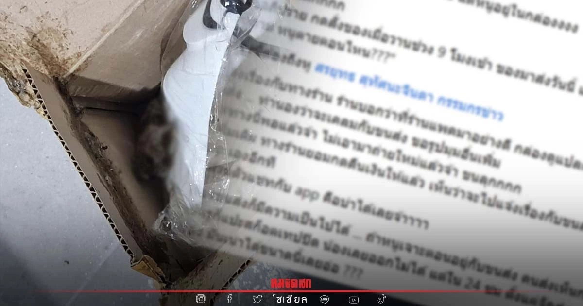 สาวกรี้ด สั่งของเจอ "ของแถม" ใน กล่องพัสดุ ที่มาส่ง งานนี้ถึงกับอ้วกแทบพุ่ง