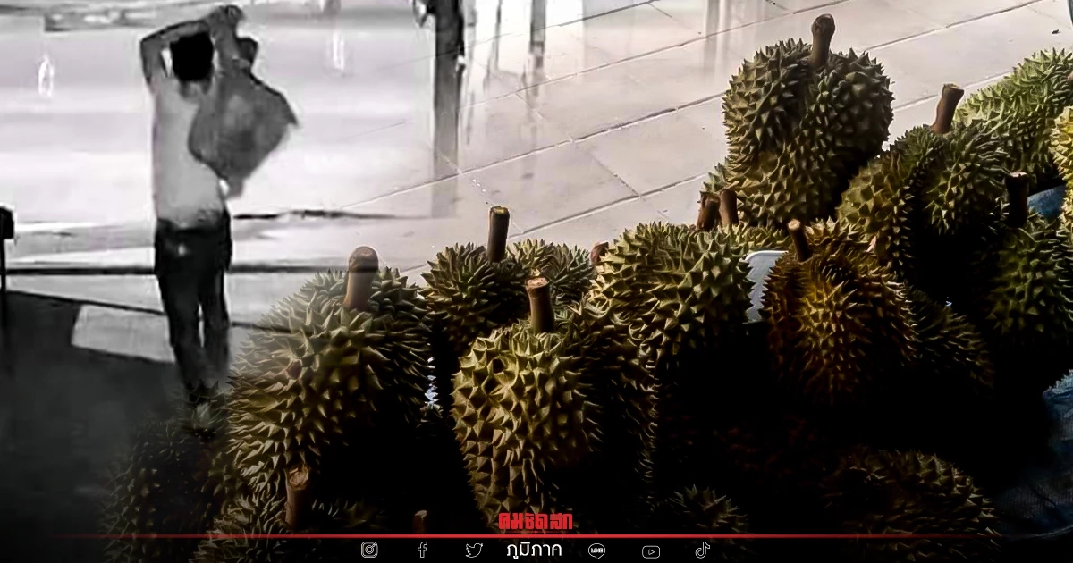แม่ค้า "ทุเรียน" สุดเซ็ง โจร ย่องกลางดึก ขโมย 3 ลูก มูลค่าเกือบพันบาท