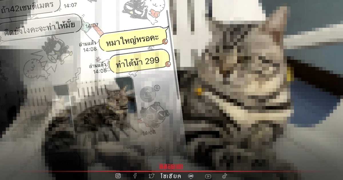 "ลูกค้า" สั่งทำ ปลอกคอ ขนาด 42 ซม. แม่ค้า นึกว่าหมาใหญ่ พอเห็นภาพถึงกับขำลั่น