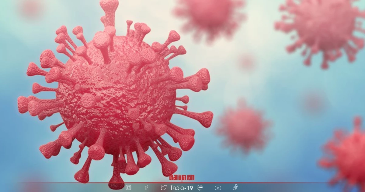 "ยอดผู้ติดเชื้อโควิด" รายใหม่ 2,328 ราย ลดลงจากวานนี้ 108 ราย ดับ 19 ราย "ยอดผู้ติดเชื้อโควิด" รายใหม่ 2,328 ราย ลดลงจากวานนี้ 108 ราย ดับ 19 ราย