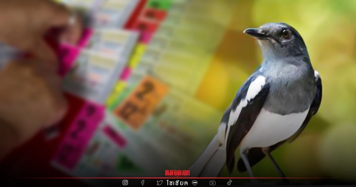 "เลขเด็ด 16/7/65" เลขเด็ดงวดนี้ ทำนายฝัน เลขเด็ด ฝันเห็นนก ตัวเดียวเน้น ๆ